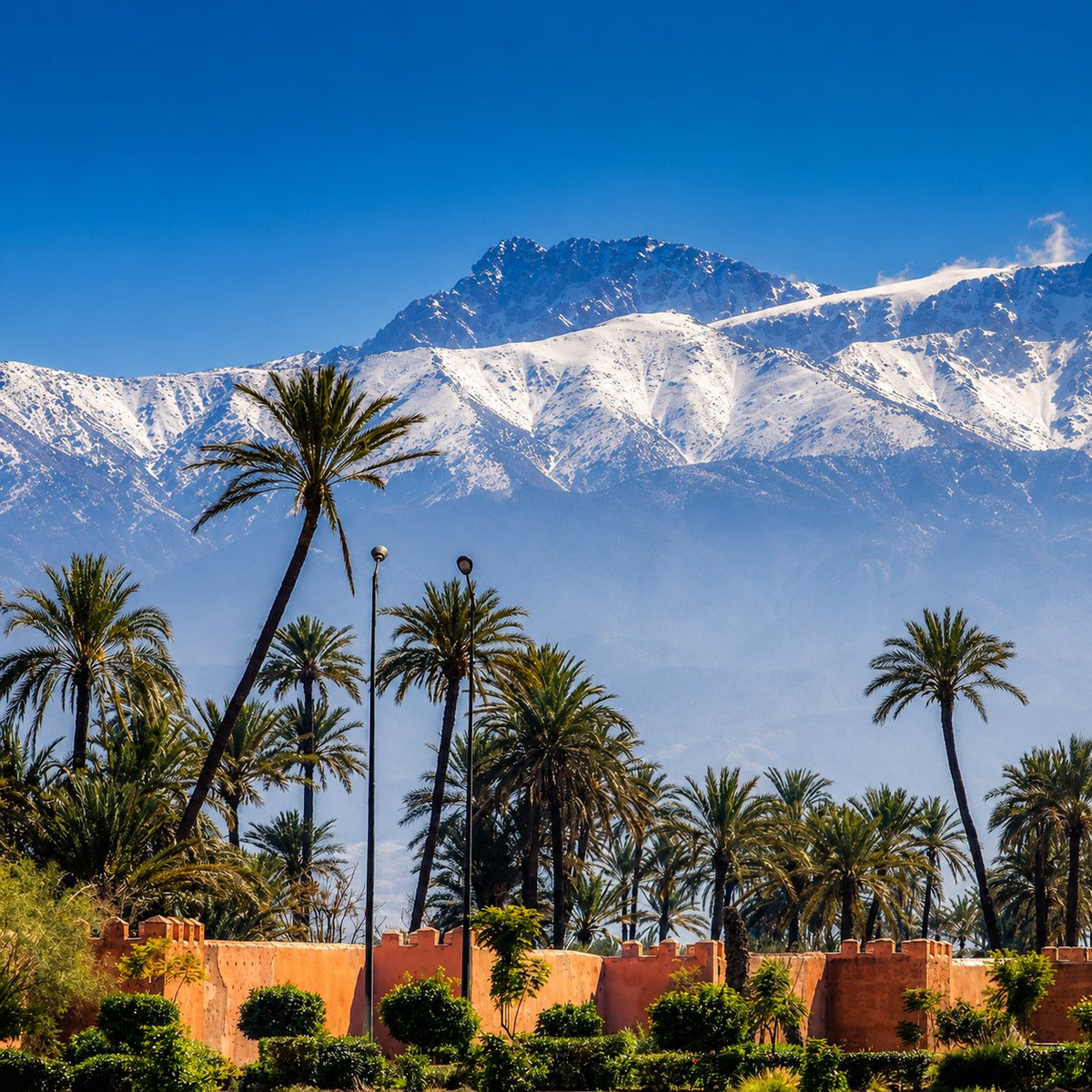 Palm grove and ochre ramparts below snow-capped Atlas peaks under a clear sky