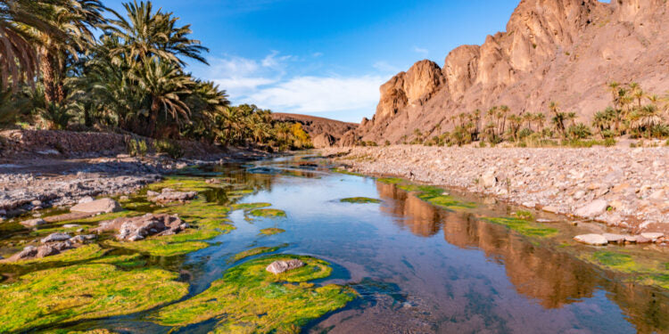 Luxury Sahara Escape: Exclusive 6-Day Private Tour to Merzouga