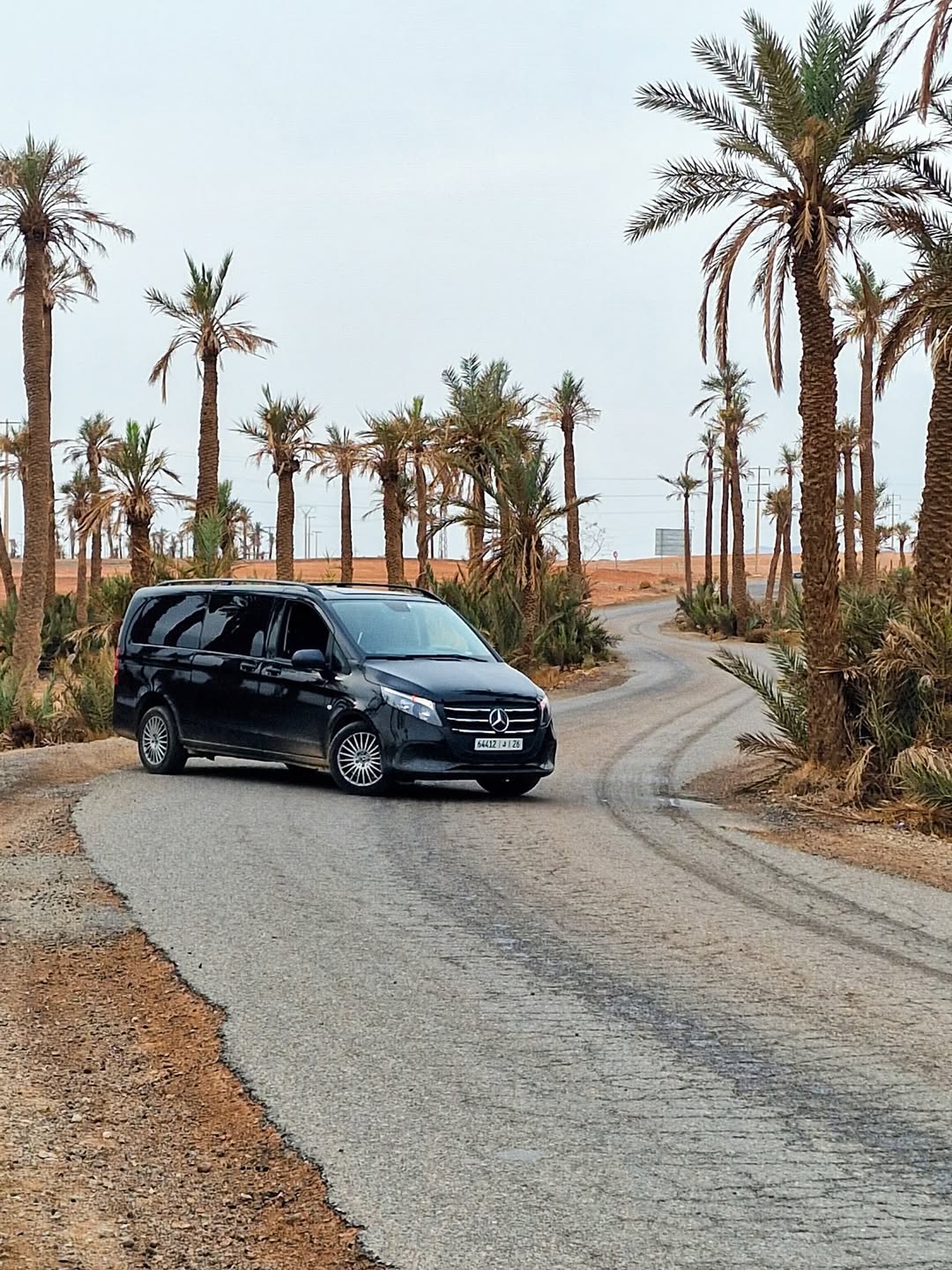 Black Mercedes van driving along a palm-lined road under a pale sky