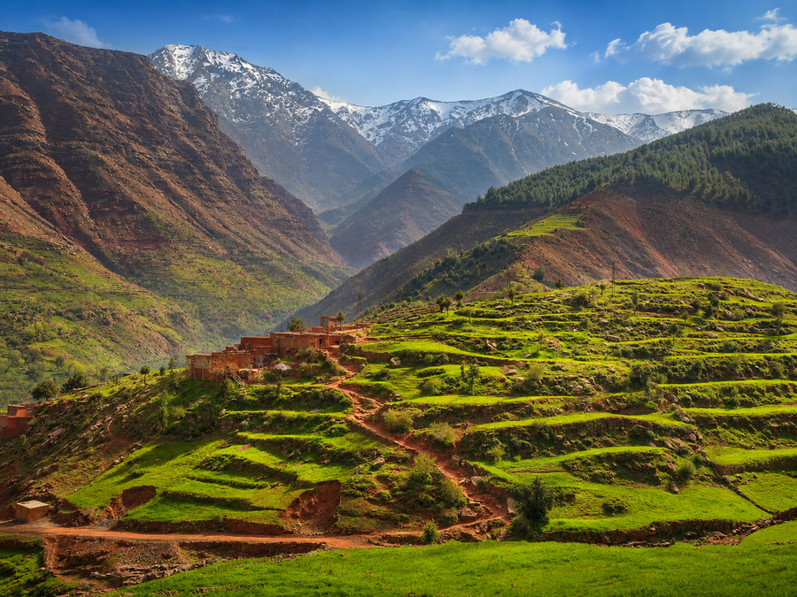 A Private Day in the Atlas — Villages, Table & Return