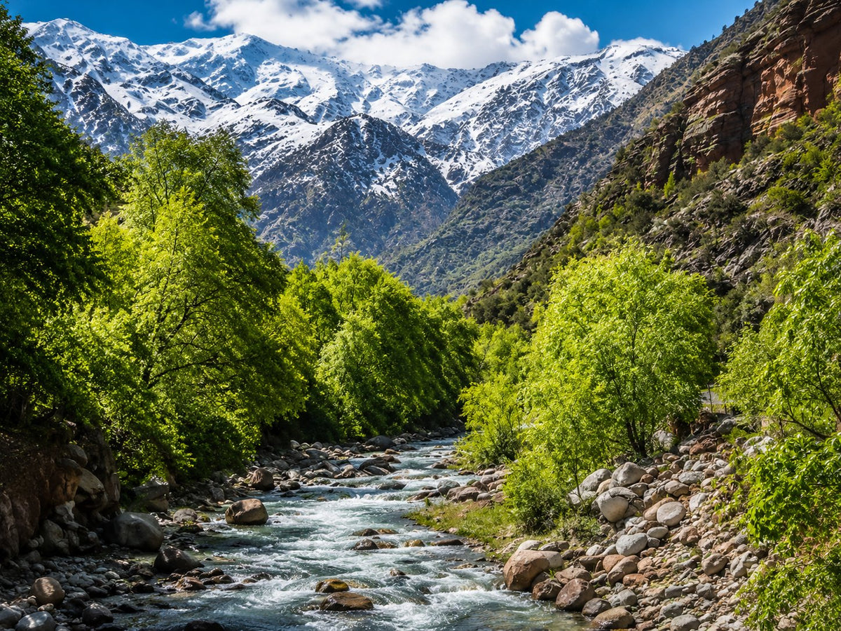 Mountain stream between green trees with snow-capped peaks in the background