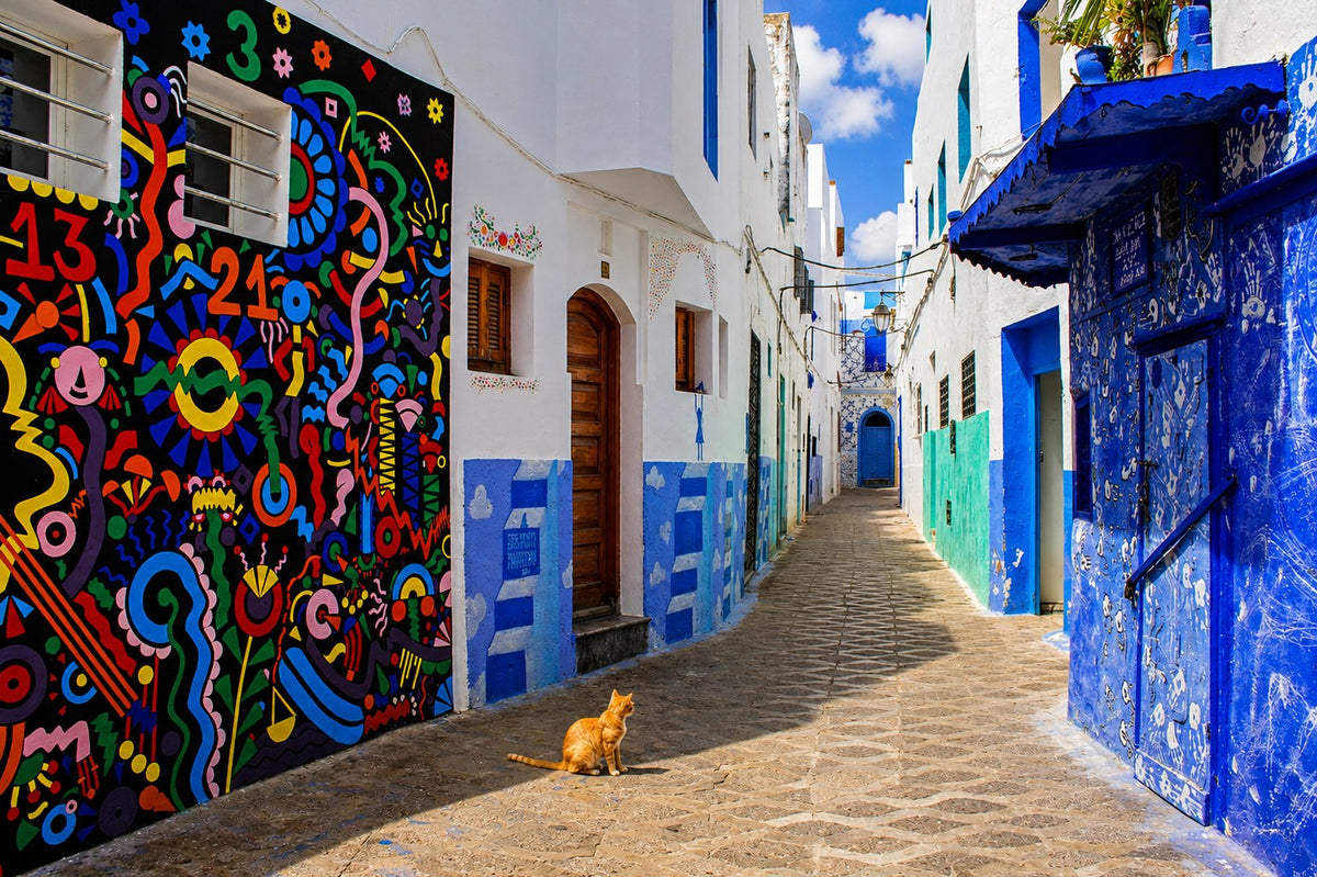 Colourful mural in a white-and-blue alley, a cat sitting in the sun