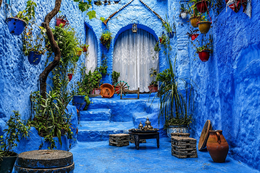 Blue-washed alley with potted plants on the steps and a curtained doorway