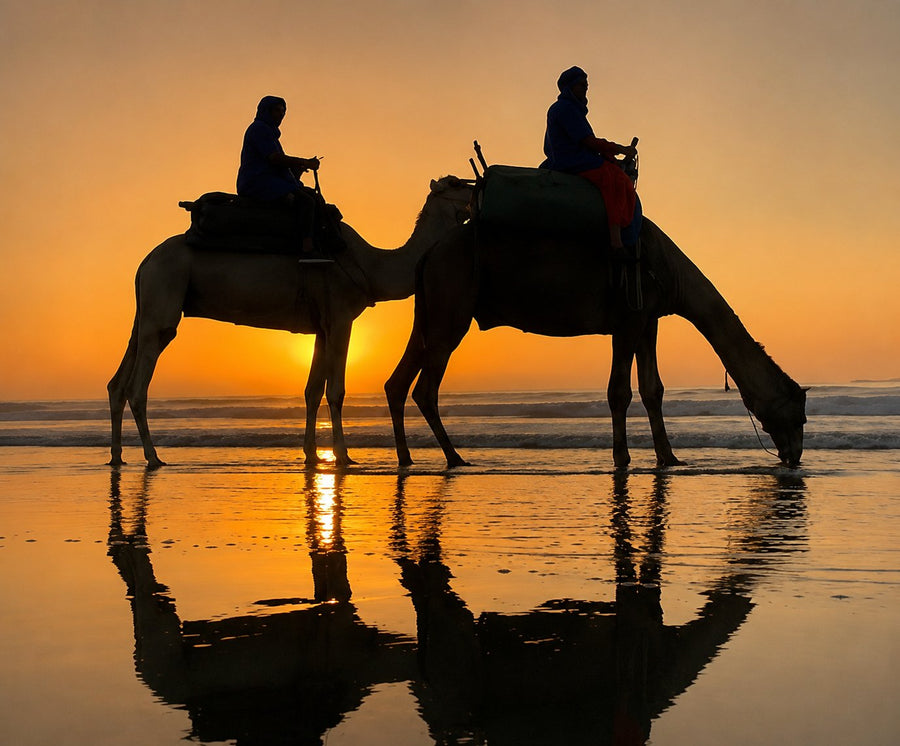 Two riders on camels silhouetted against the sunset on a wet beach, reflections on the sand