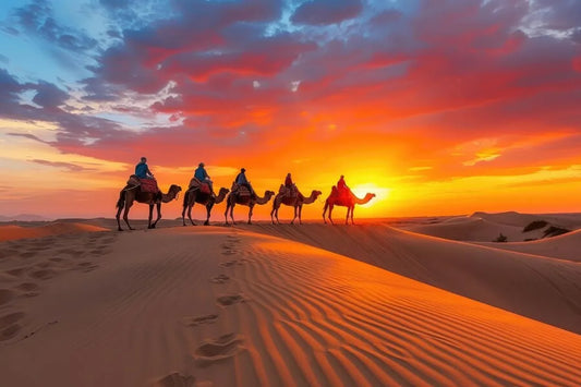 Merzouga : Oasis, dunes d'or et ciel étoilé