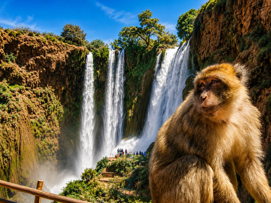 Ouzoud Waterfalls — Private Day Trip