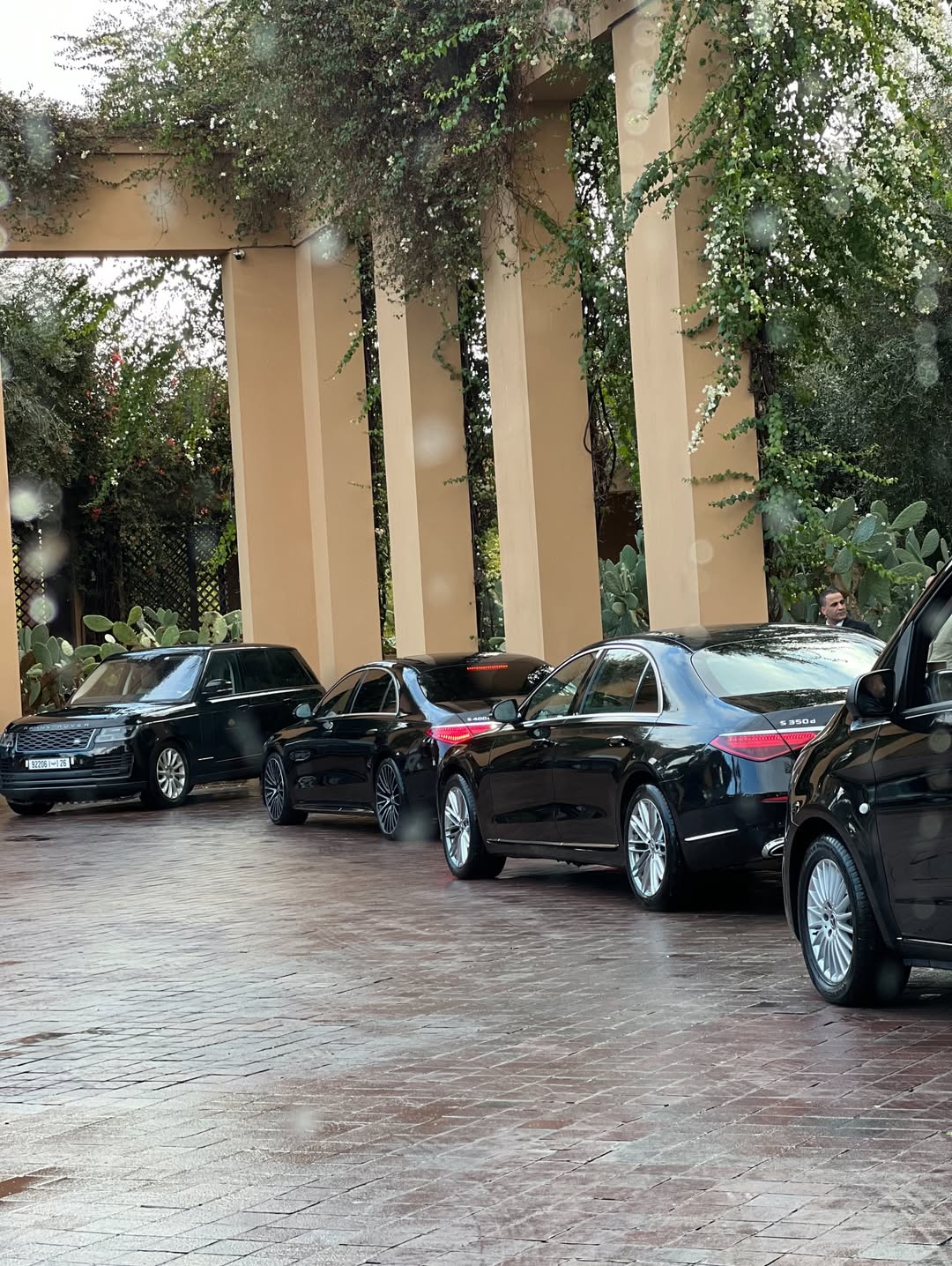 Black Mercedes sedans parked under a plant-covered pergola in a paved courtyard