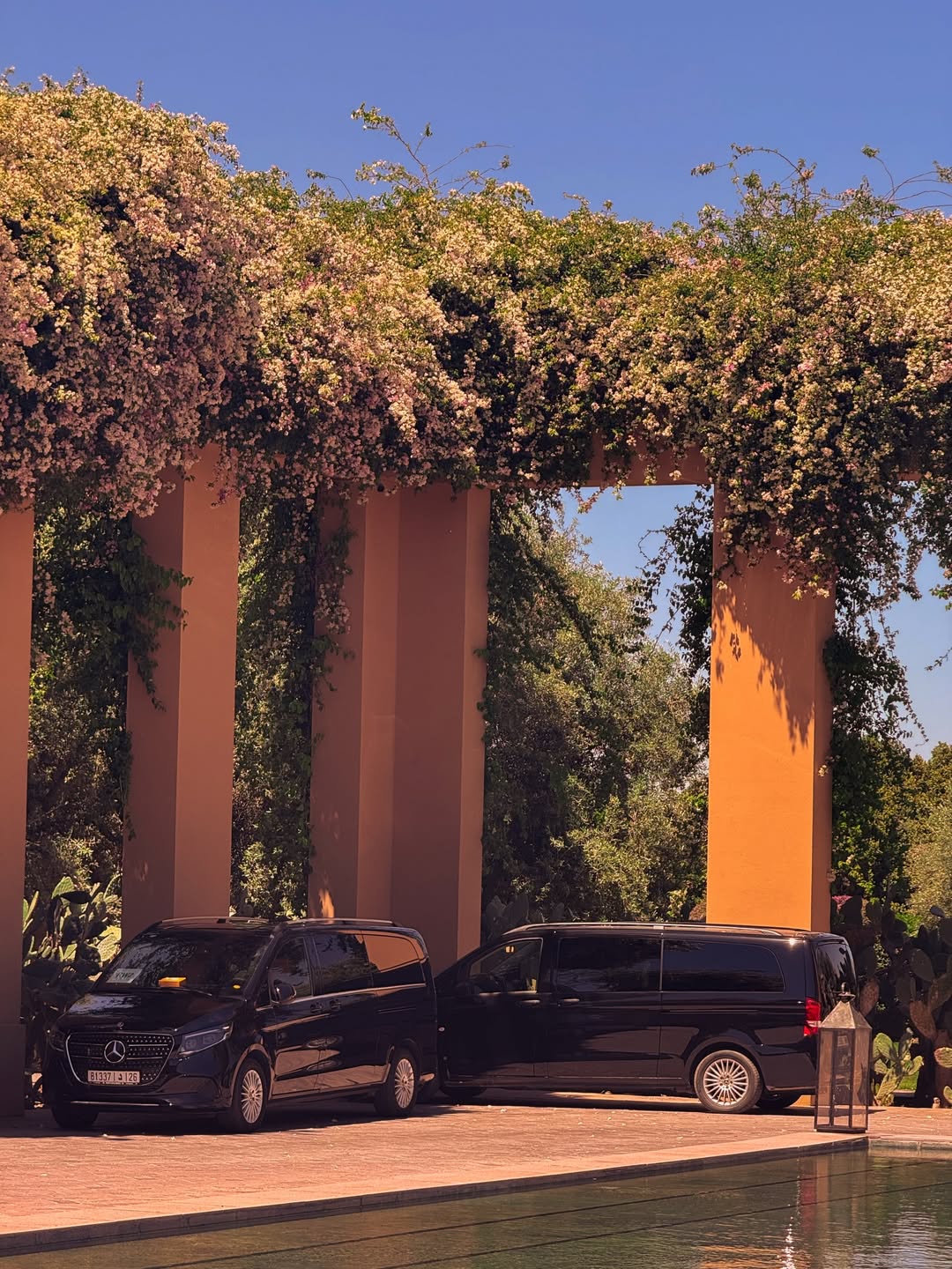 Two black Mercedes vans parked under bougainvillea-covered pillars in warm afternoon light