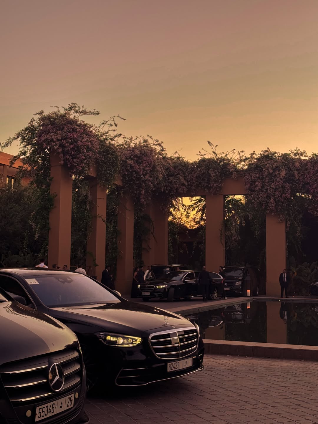 Two black Mercedes sedans beside a reflecting pool under flowering pergolas at sunset