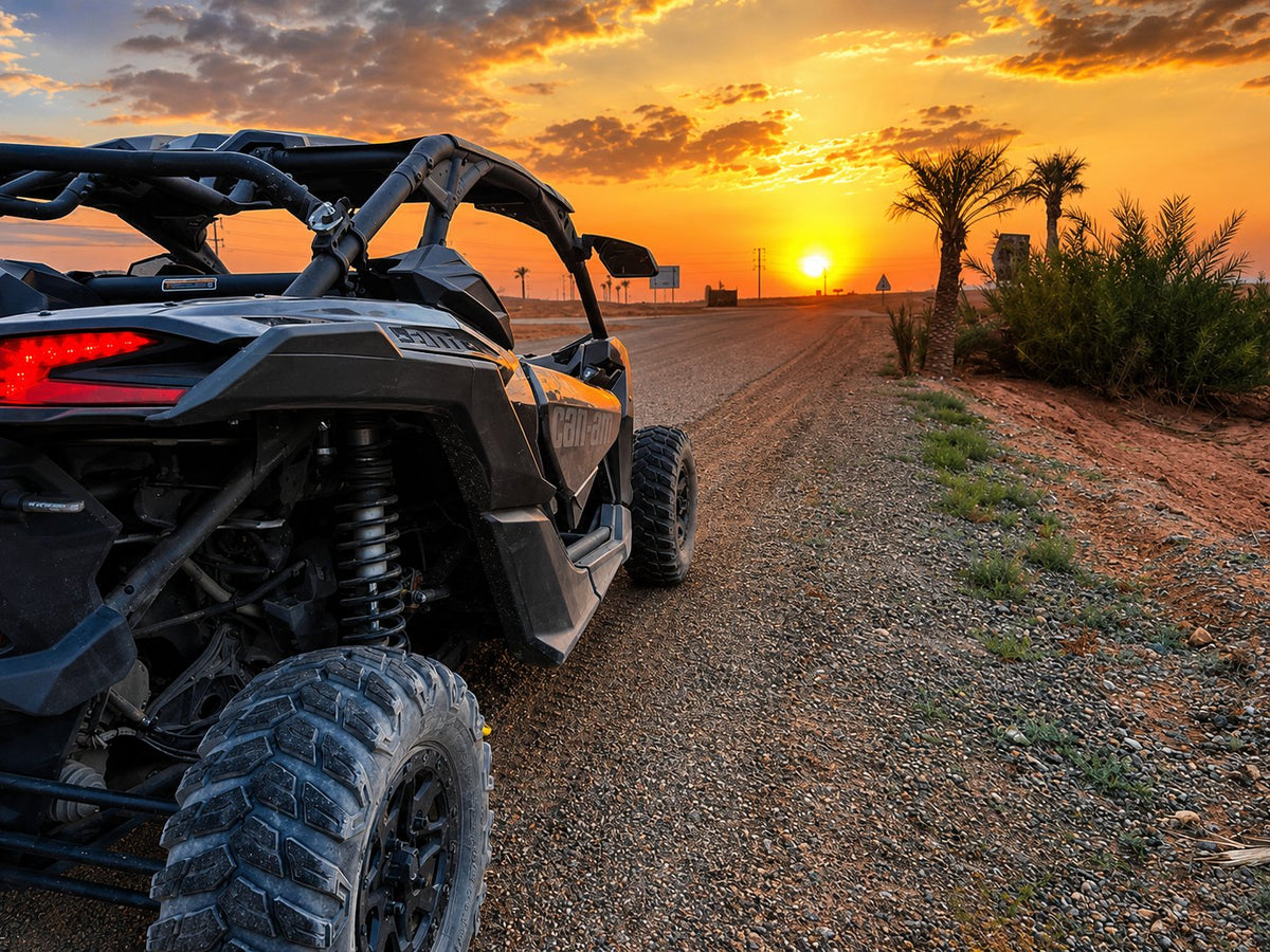 Rear view of a buggy on a dirt track at sunset, palm trees ahead